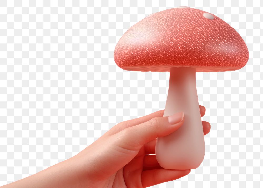PNG Mushroom holding fungus agaric. AI generated Image by rawpixel.