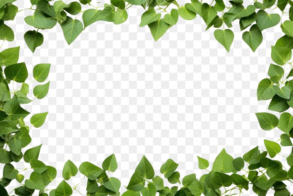 PNG Green leaves backgrounds plant leaf. AI generated Image by rawpixel.