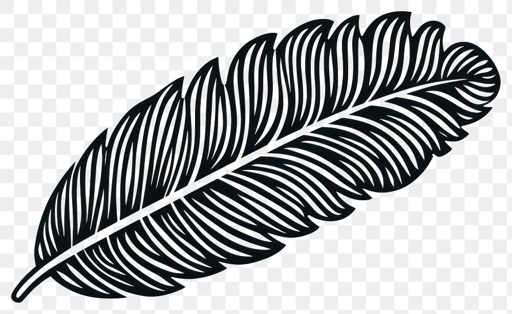 PNG Feather leaf lightweight creativity. AI generated Image by rawpixel.
