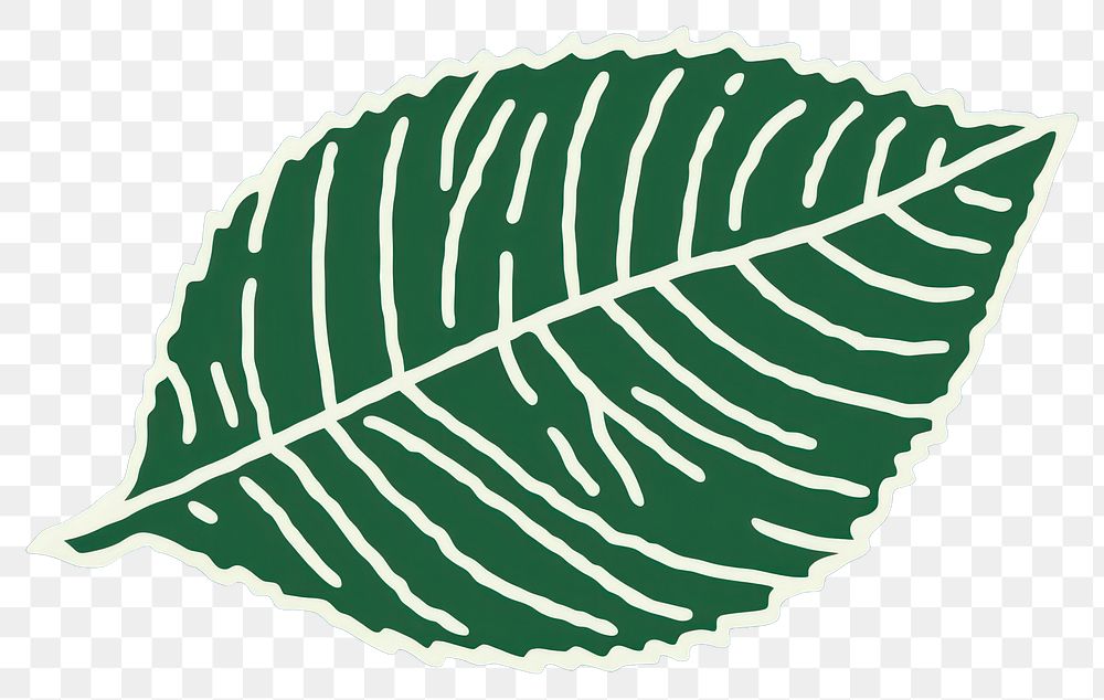 PNG Leaf leaf plant pattern. AI generated Image by rawpixel.