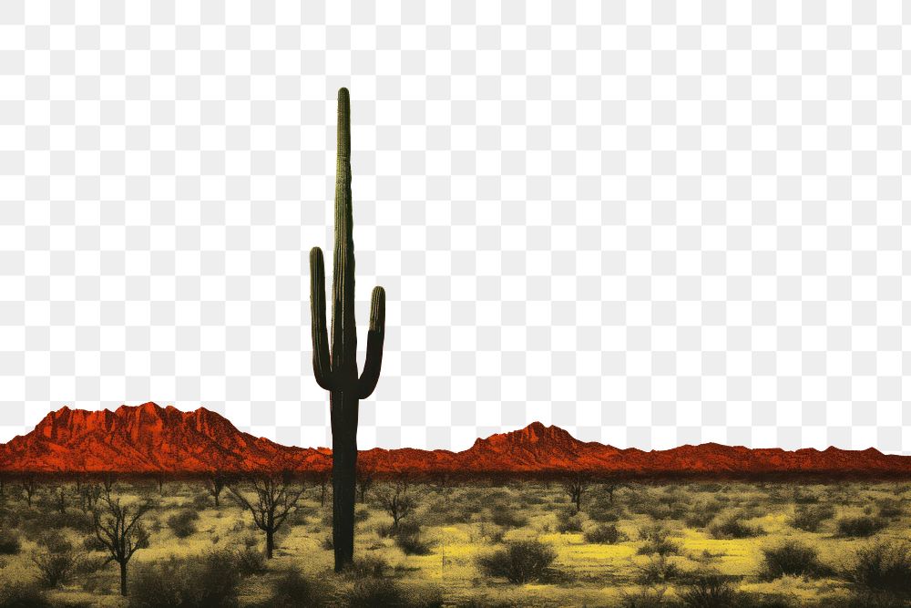PNG Impression desert landscape with saguaro cactus outdoors nature sky. AI generated Image by rawpixel.