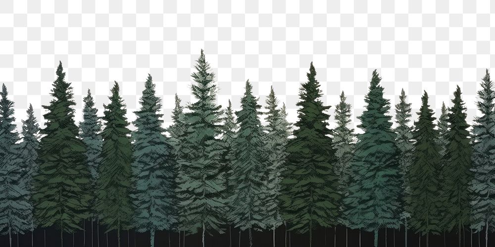 PNG Snowy pine trees backgrounds outdoors woodland. AI generated Image by rawpixel.