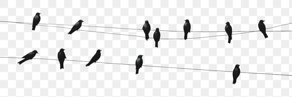 PNG Impression flock of birds on wire outdoors animal nature. AI generated Image by rawpixel.