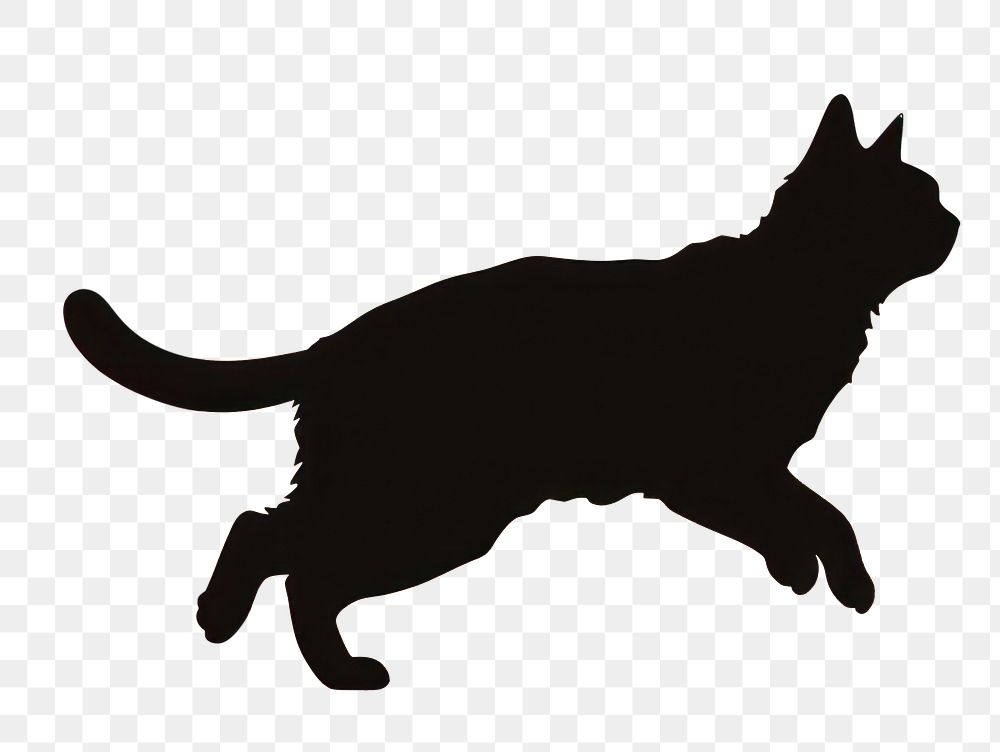 PNG Sillouette cat jumping silhouette mammal animal. AI generated Image by rawpixel.