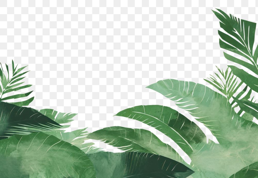 PNG Tropical leaves border green backgrounds outdoors. AI generated Image by rawpixel.