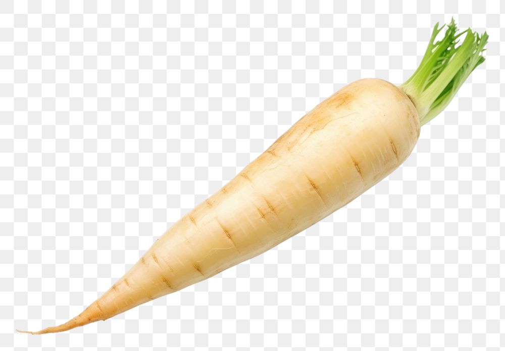 PNG  Carrot vegetable radish plant. AI generated Image by rawpixel.