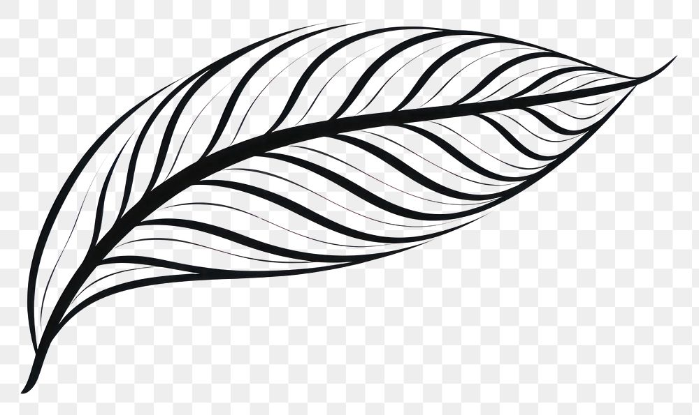 PNG Monochrome pattern drawing nature. AI generated Image by rawpixel.