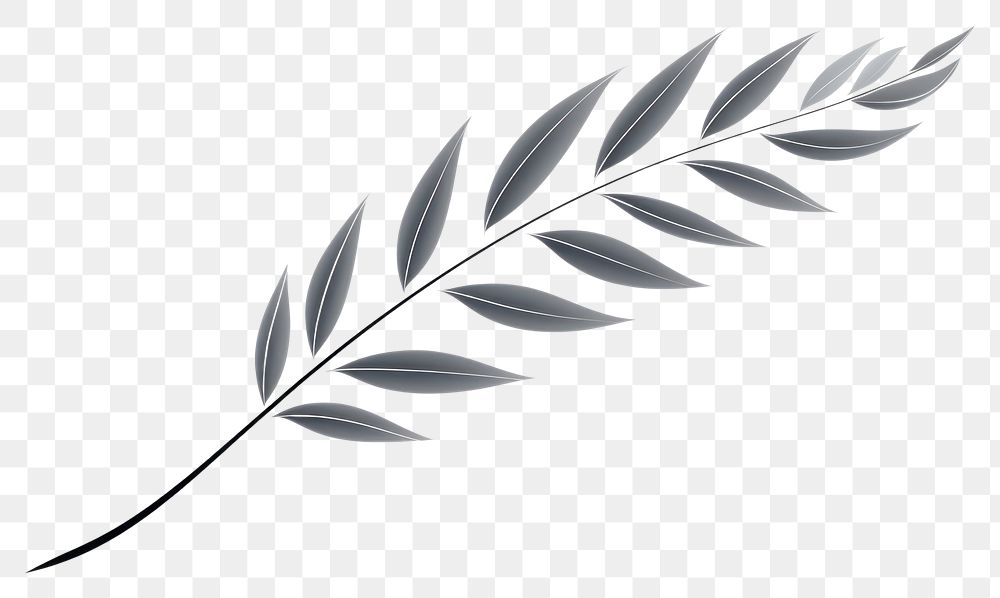 PNG Branch plant frond leaf. AI generated Image by rawpixel.
