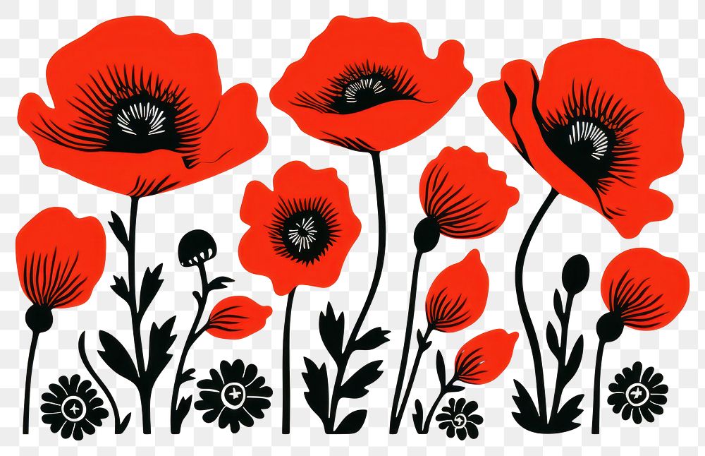 PNG Poppy love flower nature plant. AI generated Image by rawpixel.