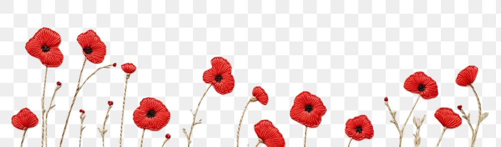 PNG Frame border little poppy pattern backgrounds embroidery. AI generated Image by rawpixel.