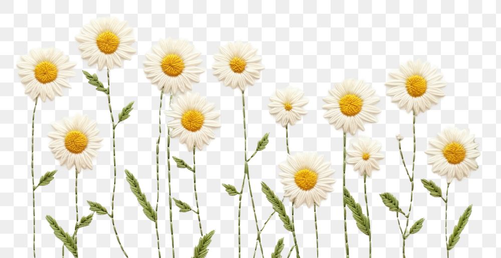 PNG Little daisy backgrounds outdoors pattern. AI generated Image by rawpixel.