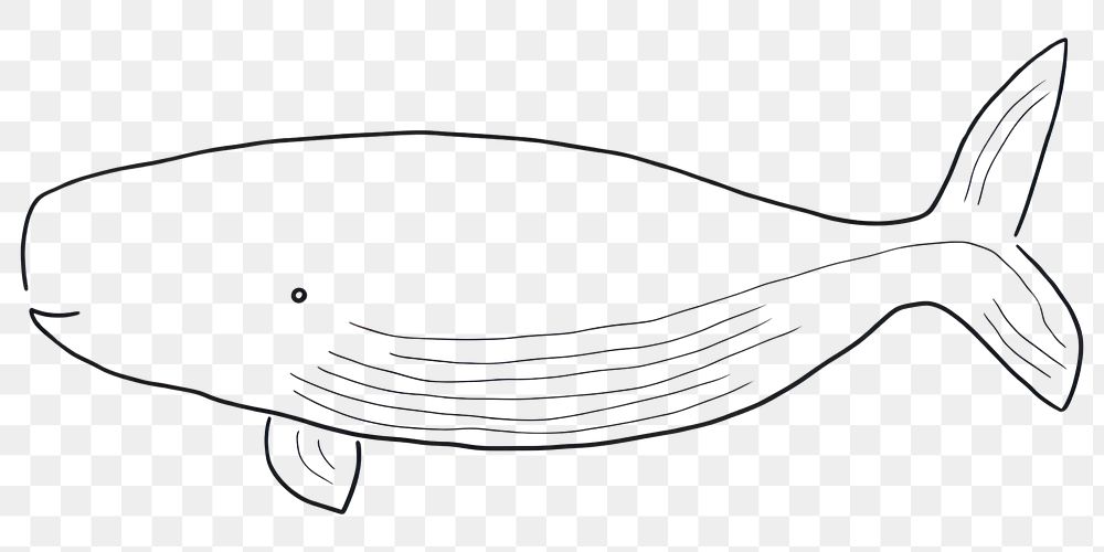 PNG Minimal illustration of whale drawing animal sketch. AI generated Image by rawpixel.