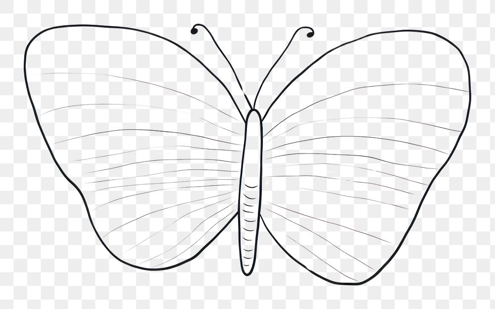 PNG Minimal illustration of butterfly drawing sketch doodle. AI generated Image by rawpixel.