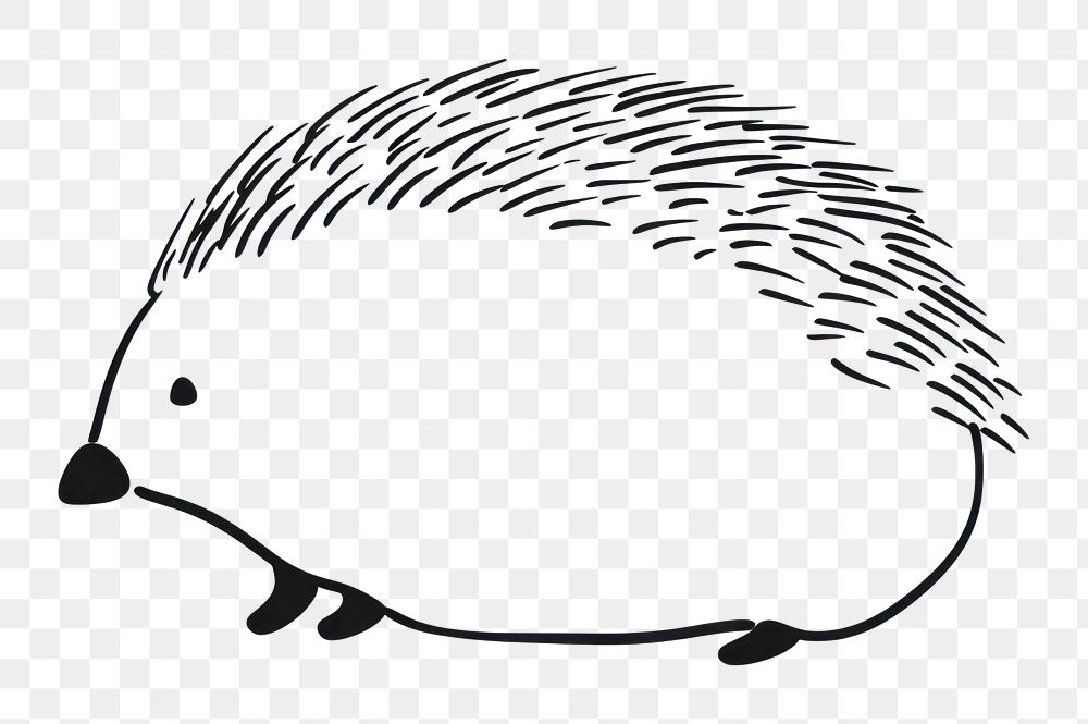 PNG Minimal illustration of hedgehog porcupine drawing animal. 