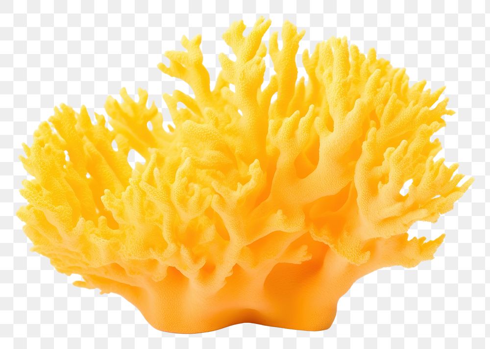 PNG Underwater yellow food sea. AI generated Image by rawpixel.