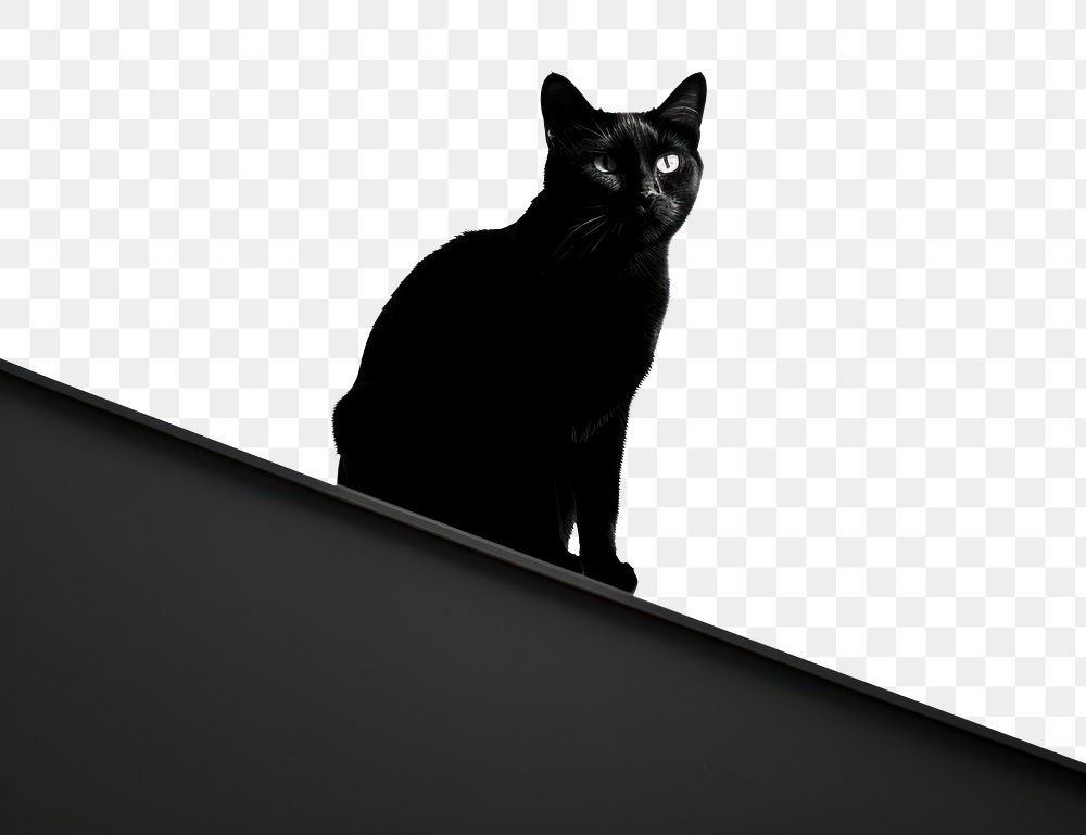 PNG A black cat silhouette animal mammal. AI generated Image by rawpixel.