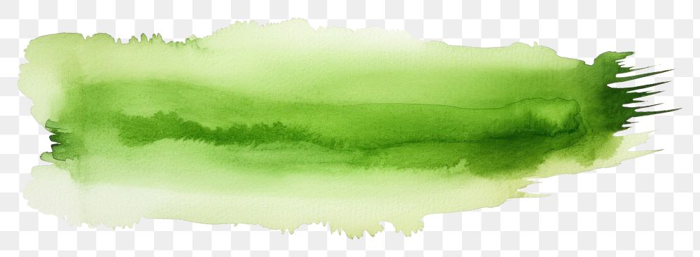 PNG Greenish watercolorr backgrounds plant white background. AI generated Image by rawpixel.