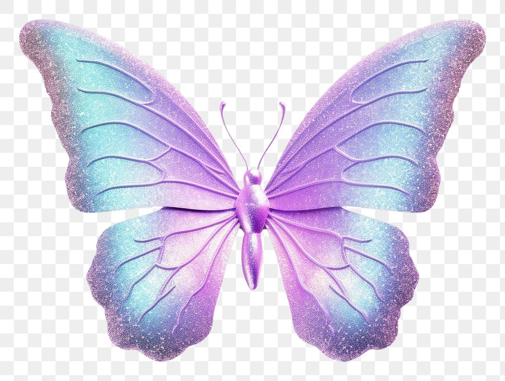 PNG Butterfly animal insect purple