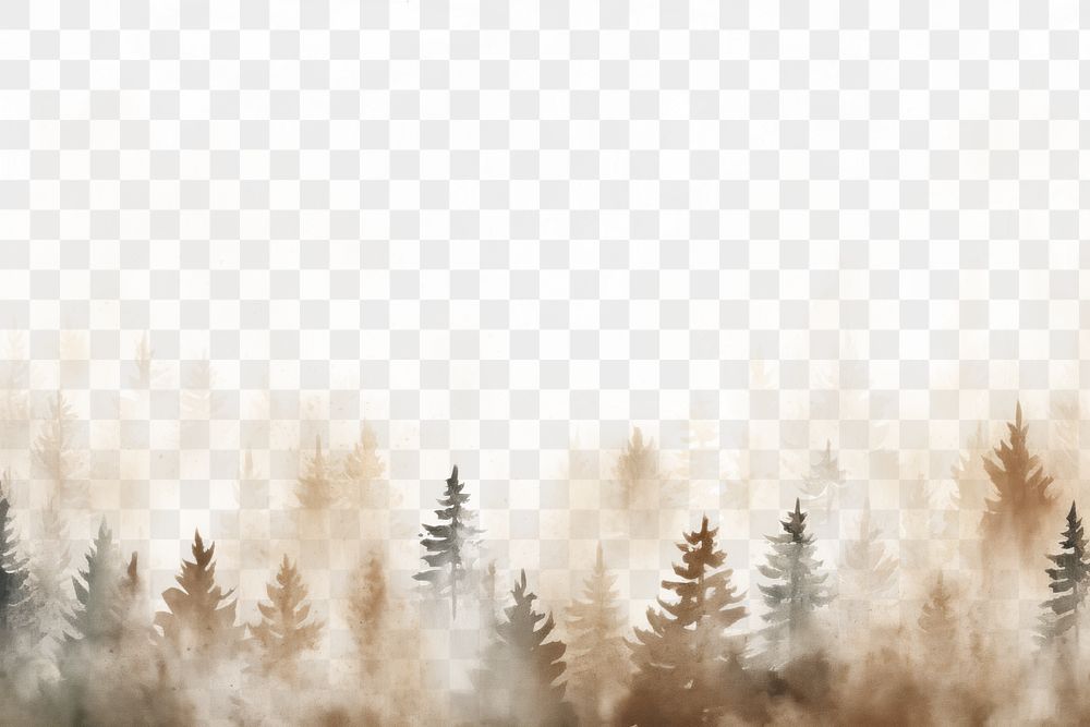 PNG  Forrest nature backgrounds outdoors. AI generated Image by rawpixel.