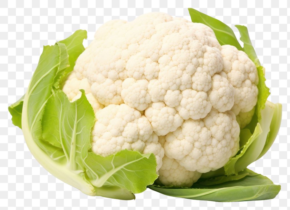 PNG Fresh cauliflower isolated vegetable white plant. AI generated Image by rawpixel.