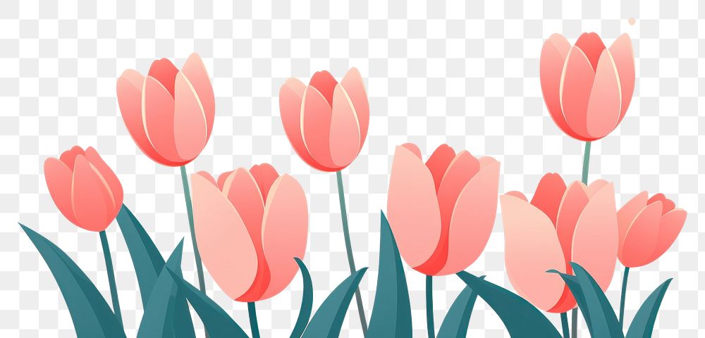 PNG Tulip flowers backgrounds plant inflorescence. AI generated Image by rawpixel.