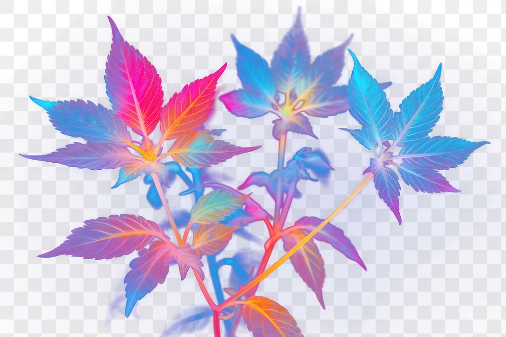PNG Weed plant flower purple. AI generated Image by rawpixel.