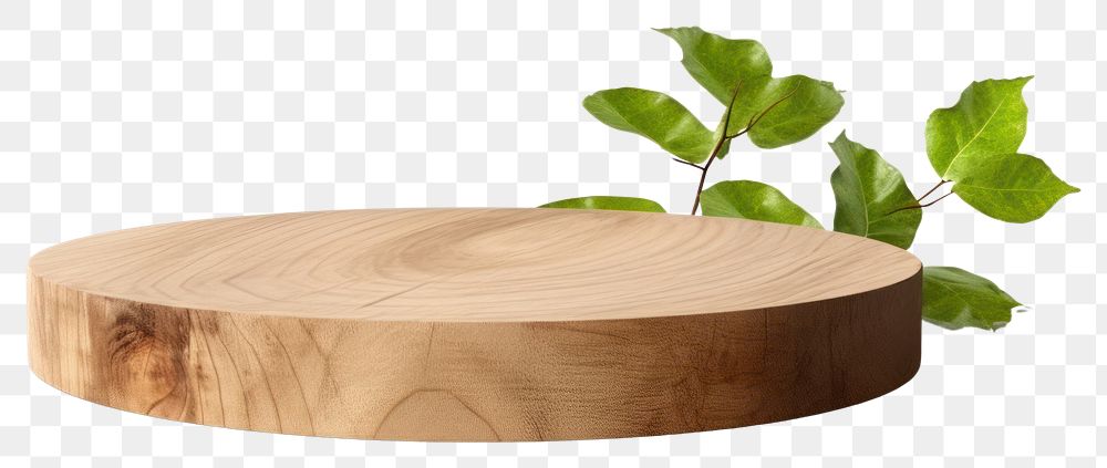 PNG Circle disc platform podium wood table tree. AI generated Image by rawpixel.