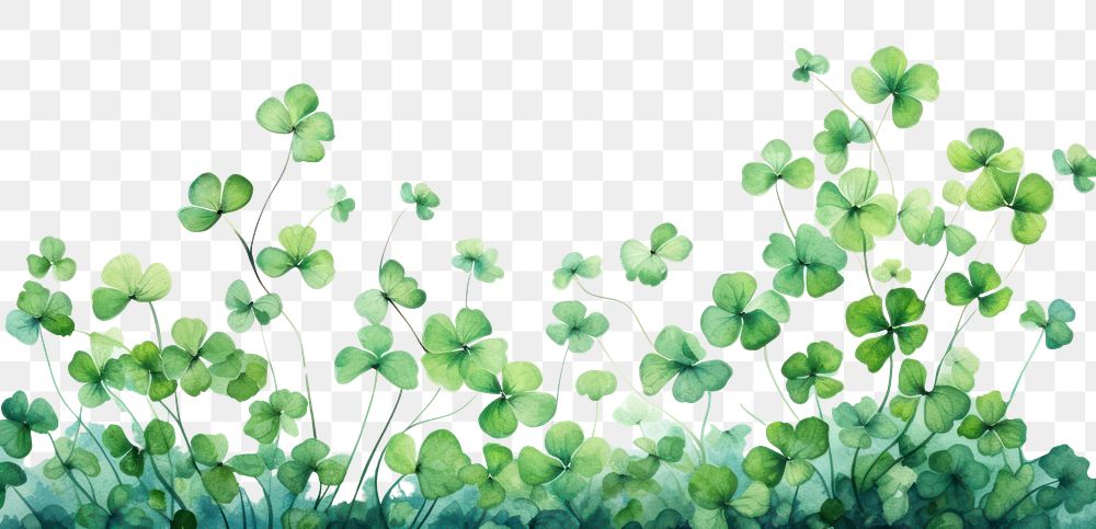 PNG Clover leaves nature plant green. AI generated Image by rawpixel.