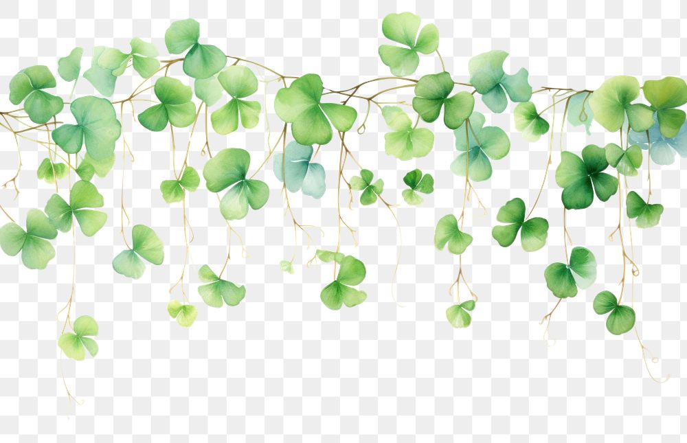 PNG Clover leaves hanging nature plant. AI generated Image by rawpixel.