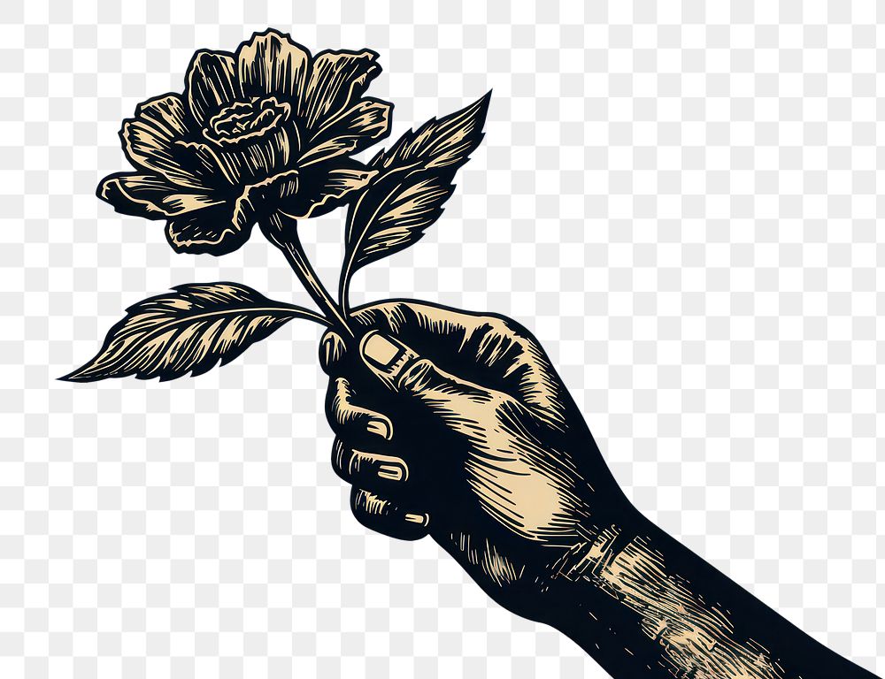 PNG A hand holding flower drawing sketch plant. AI generated Image by rawpixel.