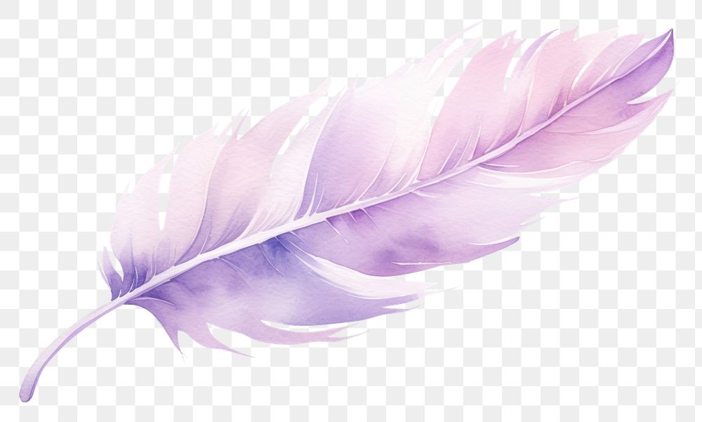 PNG Aesthetic watercolor background feather purple lightweight. AI generated Image by rawpixel.
