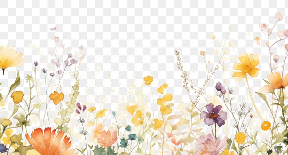PNG  Spring and summer flower backgrounds outdoors. AI generated Image by rawpixel.