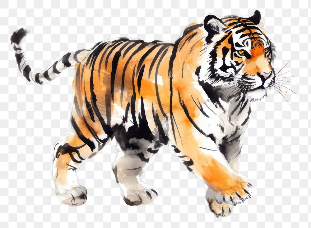 PNG Tiger chinese zodiac wildlife animal mammal. AI generated Image by rawpixel.