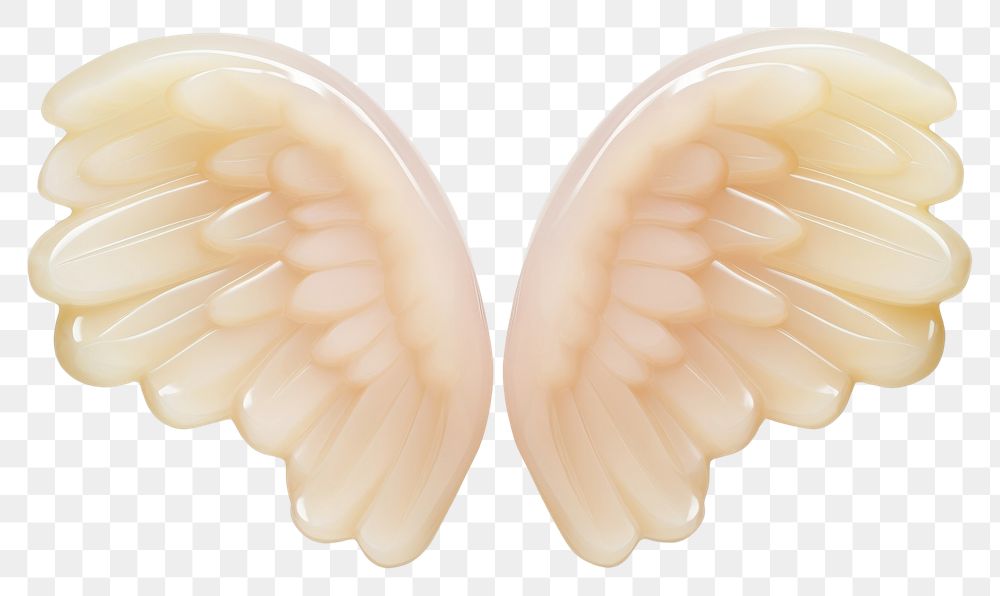 PNG Angel wings accessories medication accessory. AI generated Image by rawpixel.