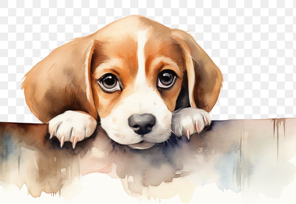 PNG Baby beagle smiling animal mammal puppy. AI generated Image by rawpixel.