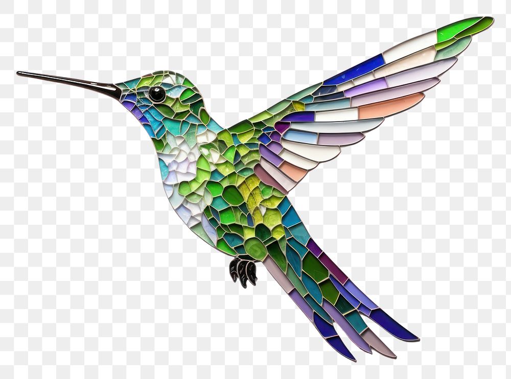 PNG Hummingbird animal art creativity. AI generated Image by rawpixel.