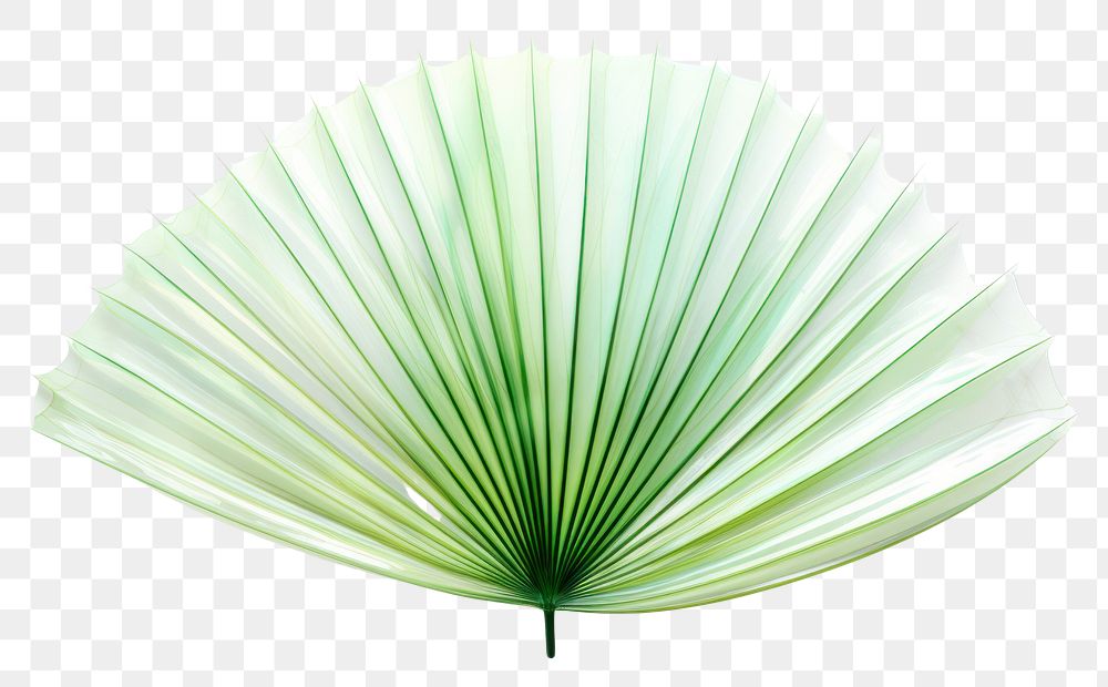 PNG Palm leaf plant art white background. AI generated Image by rawpixel.