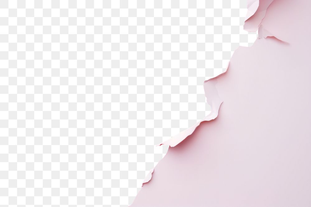 PNG  Torn strip of paper petal pink backgrounds. AI generated Image by rawpixel.
