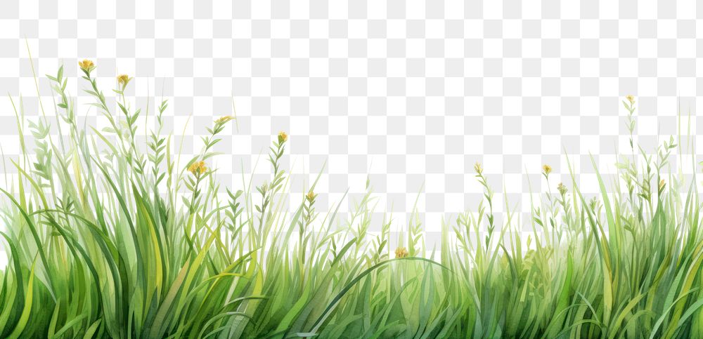 PNG Grass landscape nature backgrounds. AI generated Image by rawpixel.