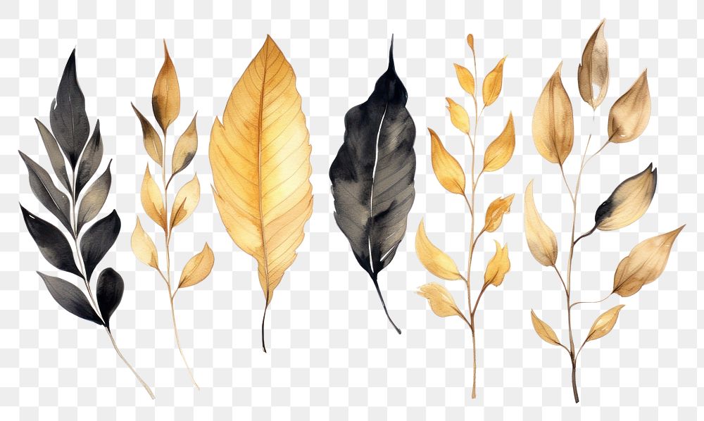 PNG Black and gold leaves nature plant leaf. AI generated Image by rawpixel.