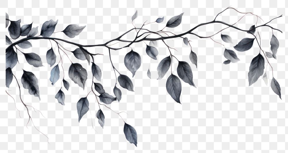 PNG Black leaves pattern drawing nature. AI generated Image by rawpixel.