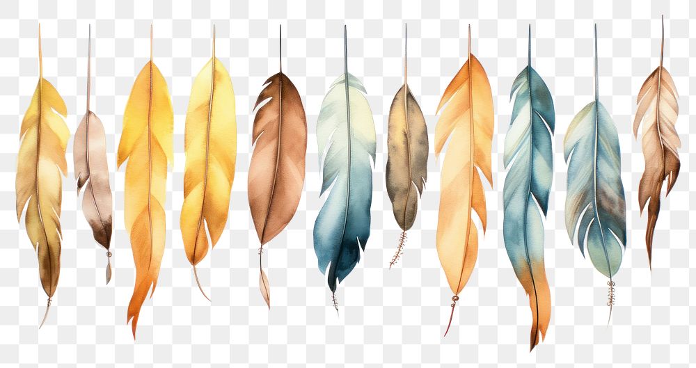PNG Feathers hanging leaf lightweight. AI generated Image by rawpixel.