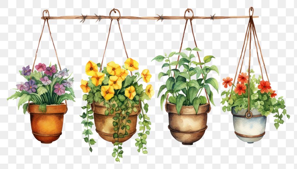 PNG Flower pots hanging plant vase