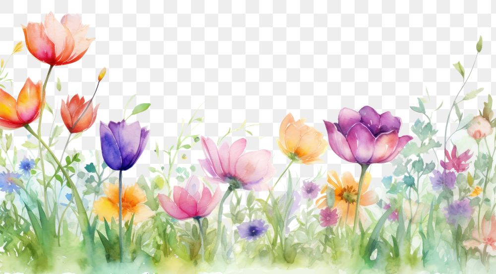 PNG Spring flowers nature outdoors painting. AI generated Image by rawpixel.