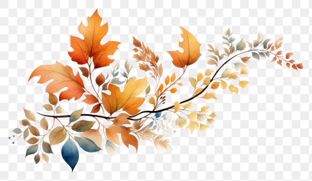 PNG Autumn leaves graphics pattern plant
