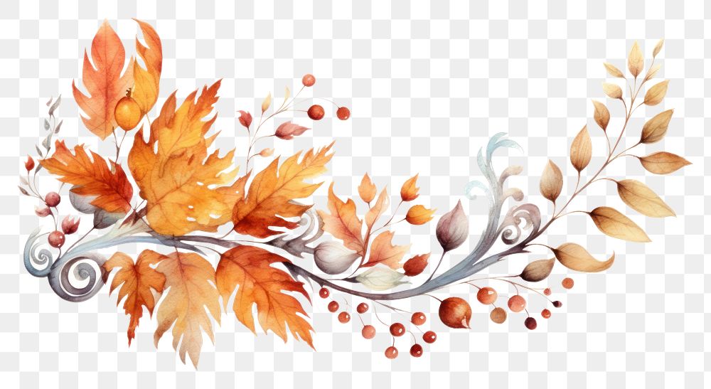 PNG Thanksgiving graphics pattern plant. AI generated Image by rawpixel.