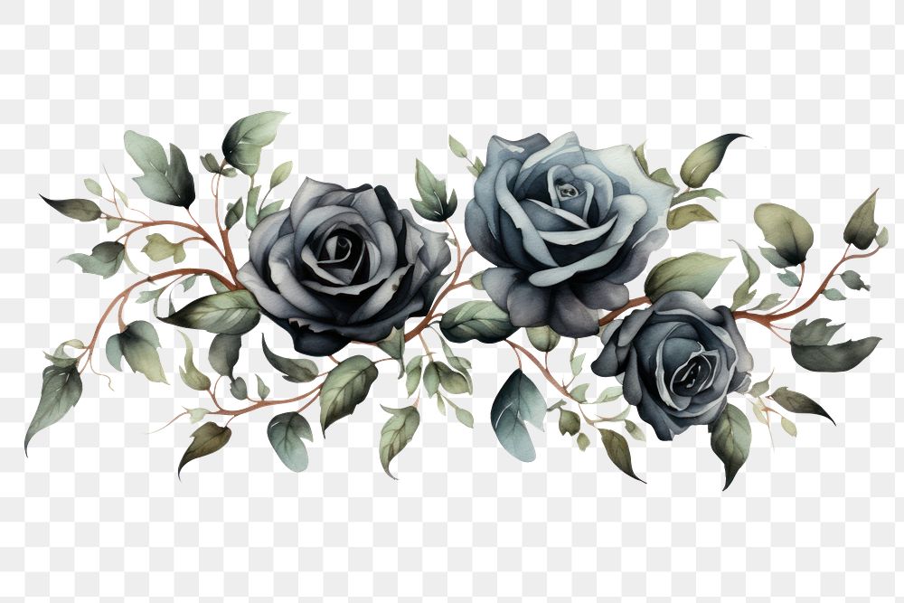 PNG Black roses graphics pattern flower. AI generated Image by rawpixel.