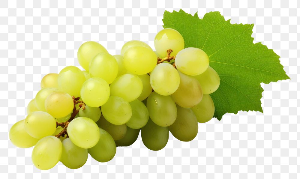 PNG  Green Grape grapes fruit bunch. AI generated Image by rawpixel.