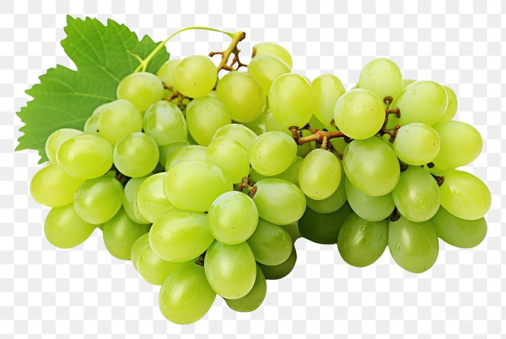 PNG  Green Grape grapes bunch fruit. AI generated Image by rawpixel.