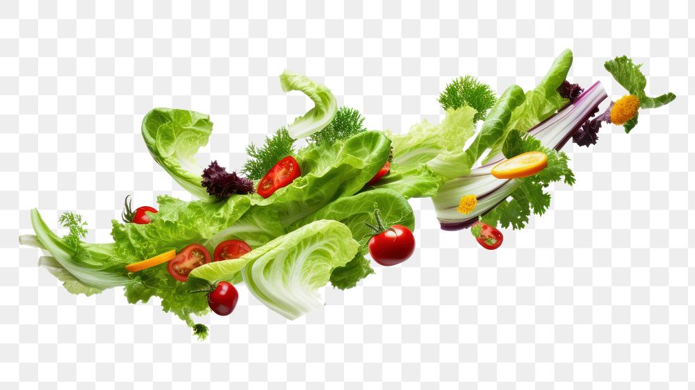 PNG Vegetables lettuce salad plant. AI generated Image by rawpixel.